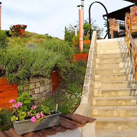 Guest house Vinny Sklep U Krizu