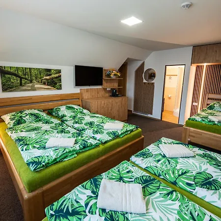 Vinny Sklep U Krizu Guest house