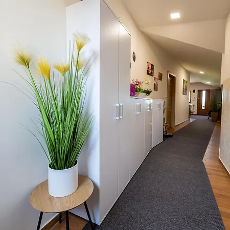 Vinny Sklep U Krizu Guest house