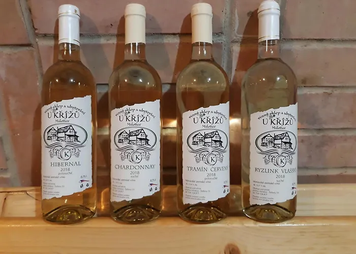 Penzion Vinný Sklep U Křížů 3*